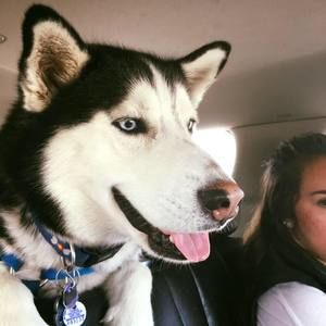 Meet your Posher, Nathan